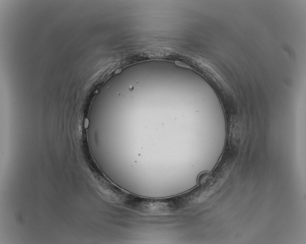 X0000112400501200908211118