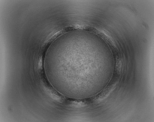 X0000112400502200908211118