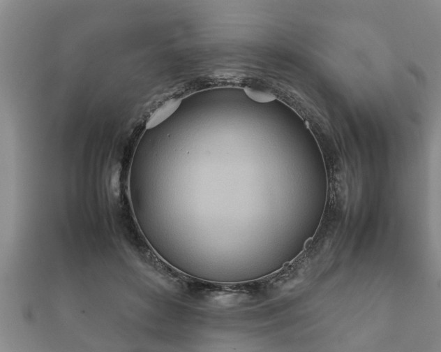 X0000112400504200908211118