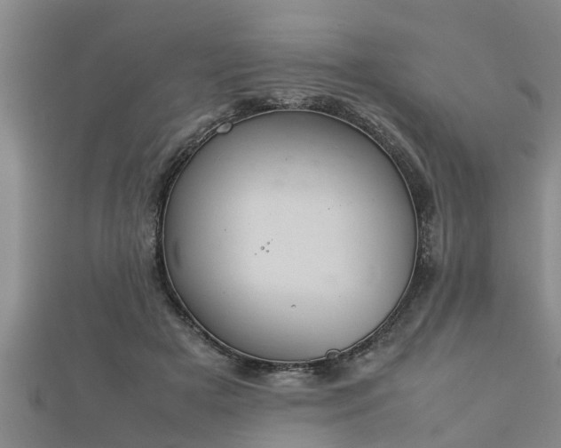 X0000112400505200908211118