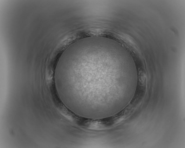 X0000112400507200908211118