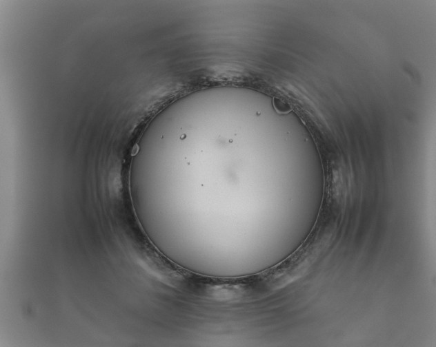 X0000112400508200908211118
