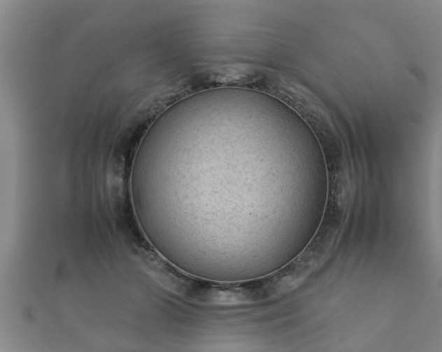 X0000112400510200908211118