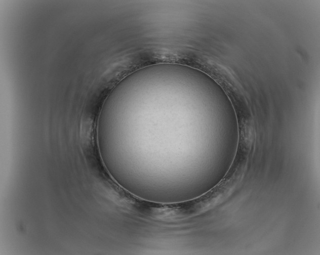 X0000112400511200908211118