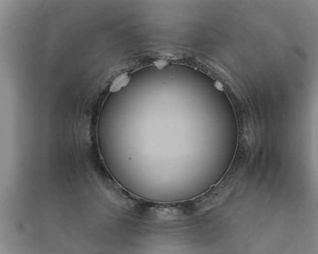 X0000112400512200908211118