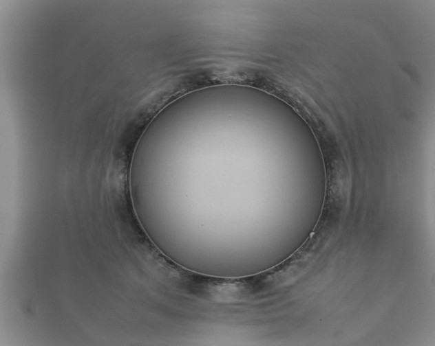 X0000112400513200908211118