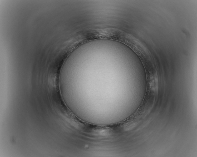 X0000112400514200908211118