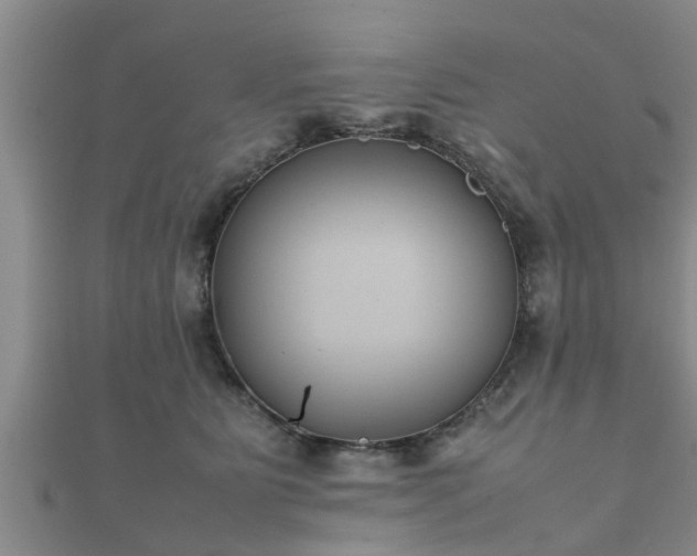X0000112400515200908211118