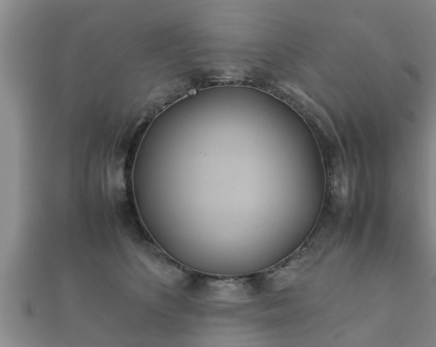X0000112400516200908211118