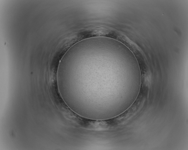 X0000112400517200908211118