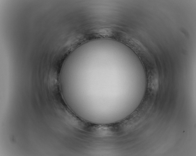 X0000112400518200908211118