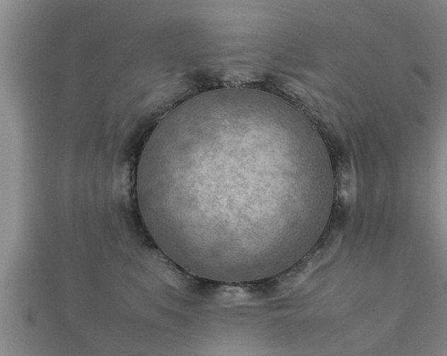 X0000112400519200908211118