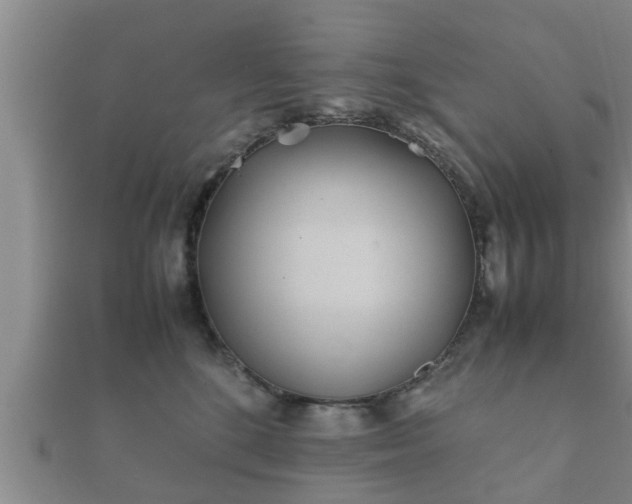 X0000112400520200908211118