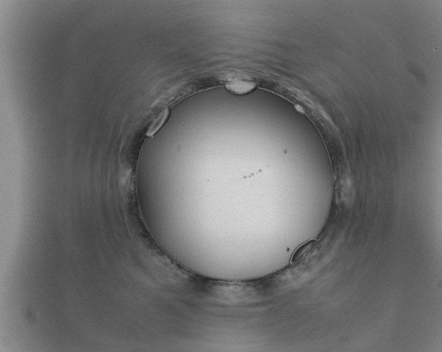 X0000112400521200908211118