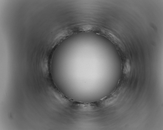 X0000112400524200908211118