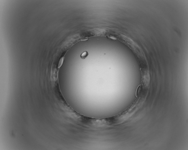 X0000112400525200908211118