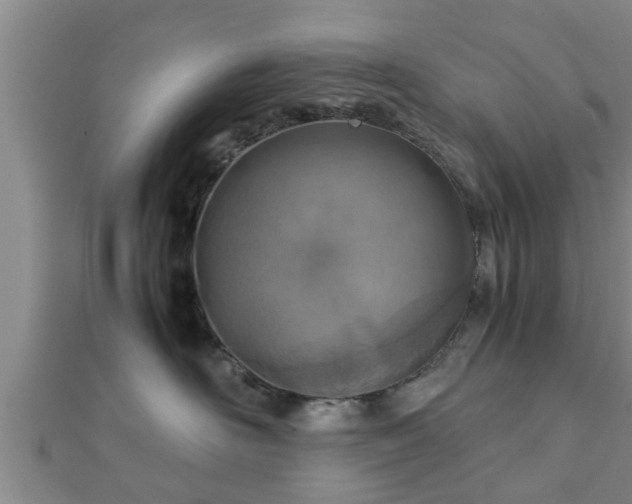 X0000112400526200908211118