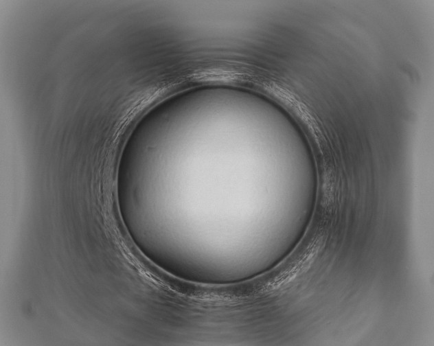 X0000112400529200908211117
