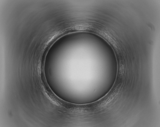 X0000112400530200908211117