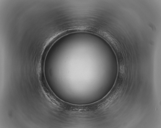 X0000112400532200908211117