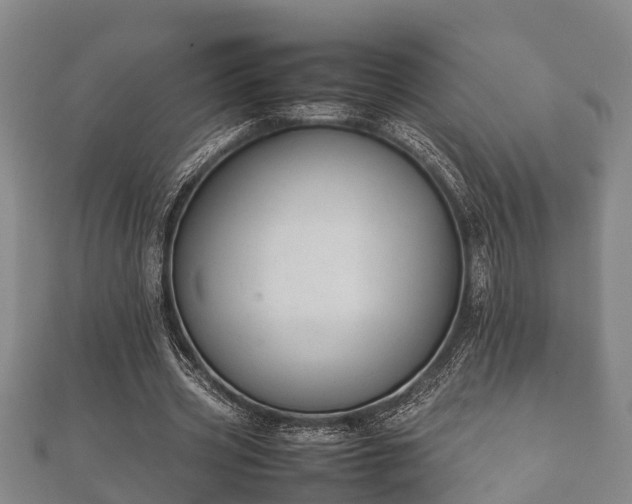 X0000112400533200908211117