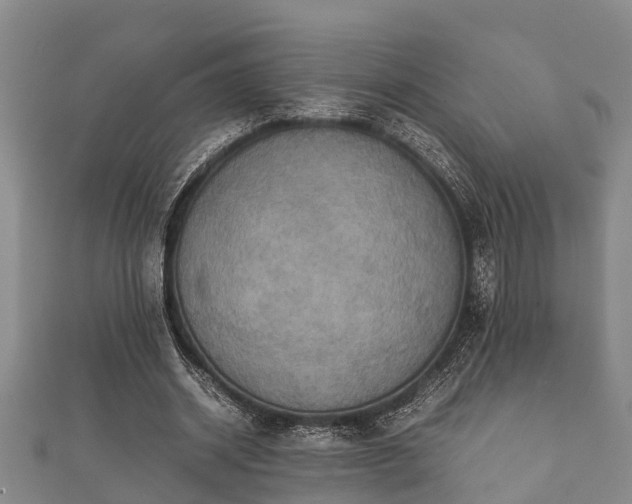 X0000112400534200908211117