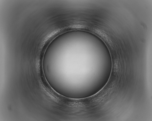 X0000112400535200908211117