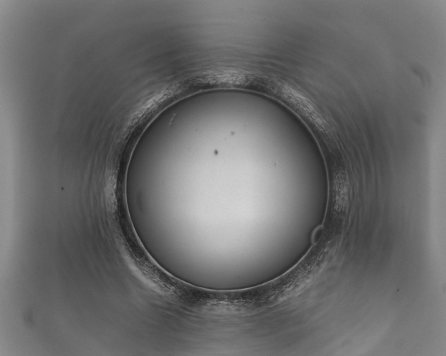 X0000112400538200908211118