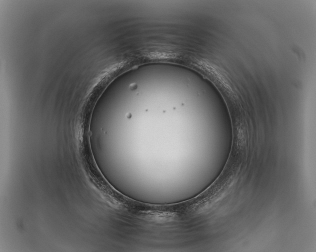 X0000112400539200908211118