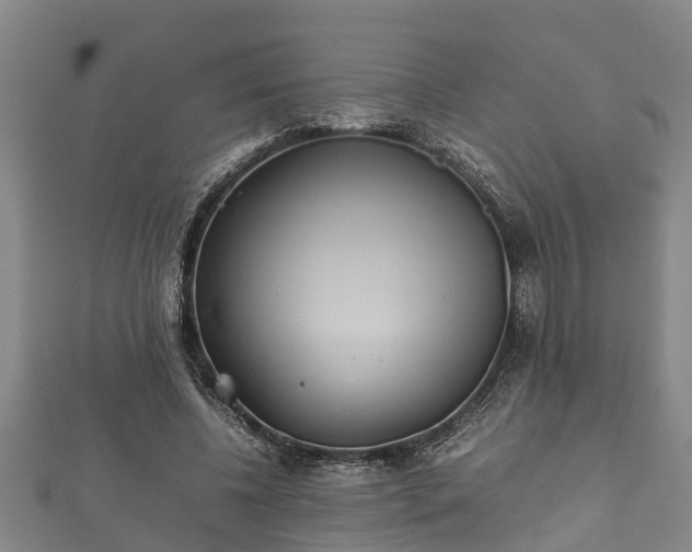 X0000112400540200908211118
