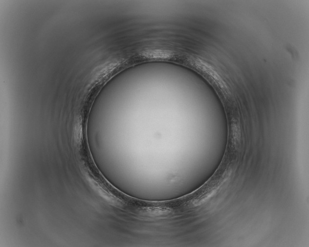 X0000112400541200908211118