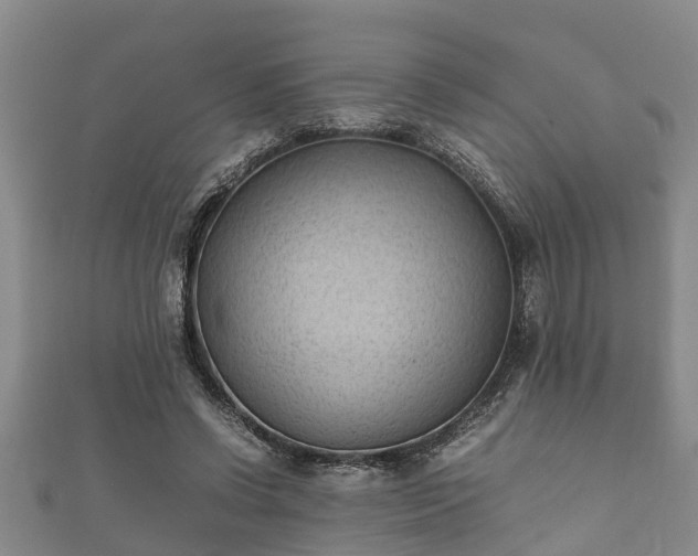 X0000112400542200908211118