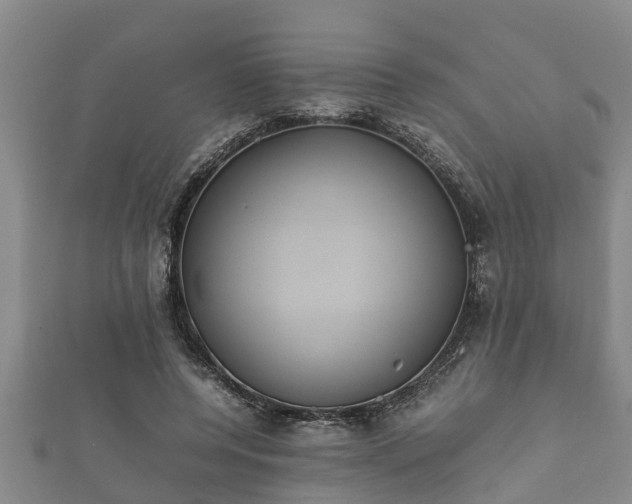 X0000112400544200908211118