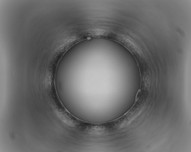 X0000112400546200908211118