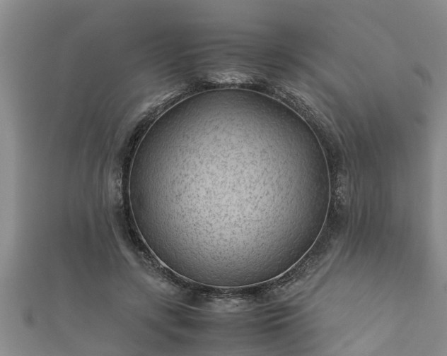 X0000112400547200908211118