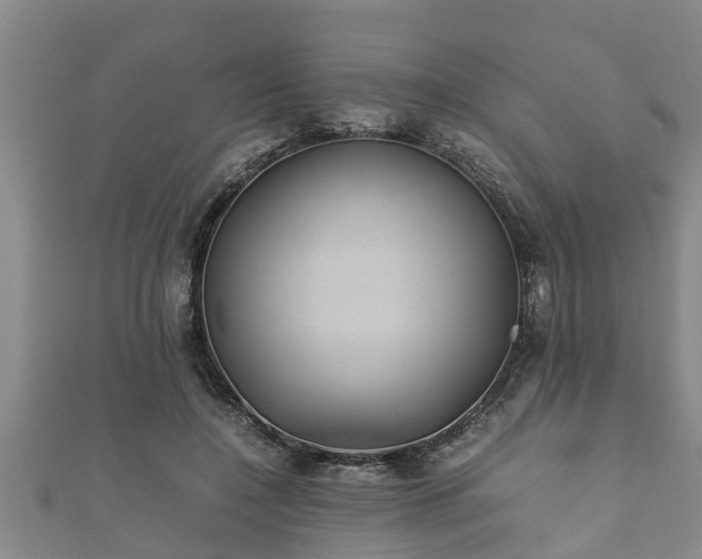 X0000112400548200908211118