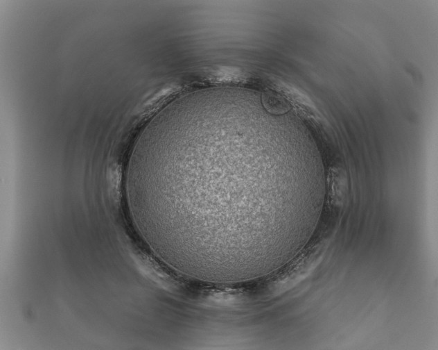 X0000112400550200908211118