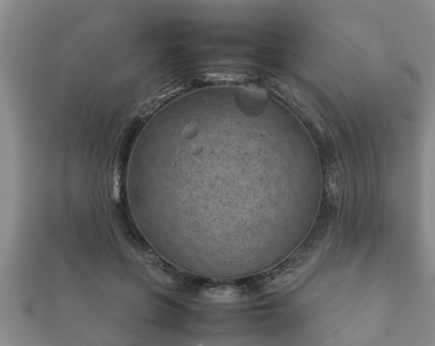 X0000112400551200908211118