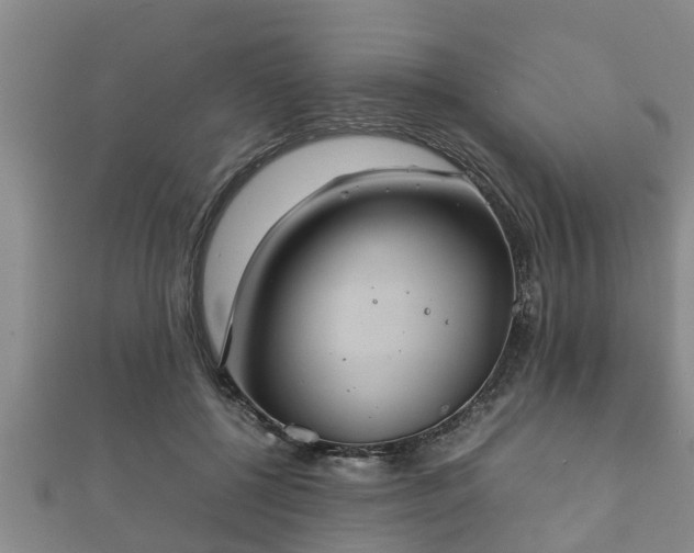 X0000112400552200908211118