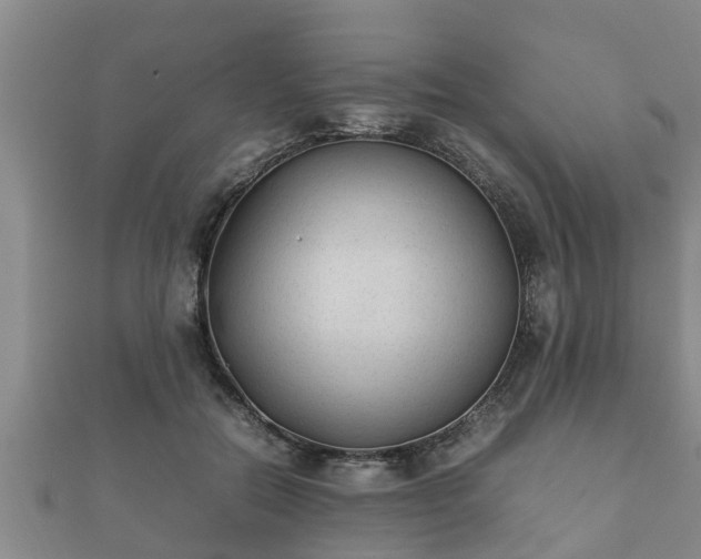 X0000112400554200908211118