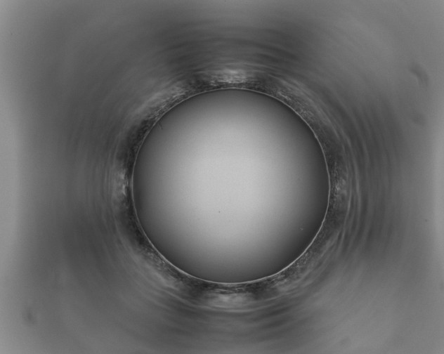 X0000112400555200908211118