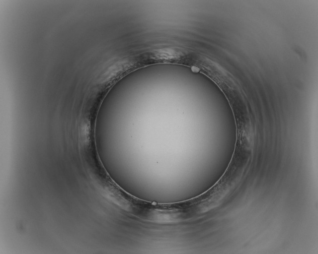 X0000112400556200908211118