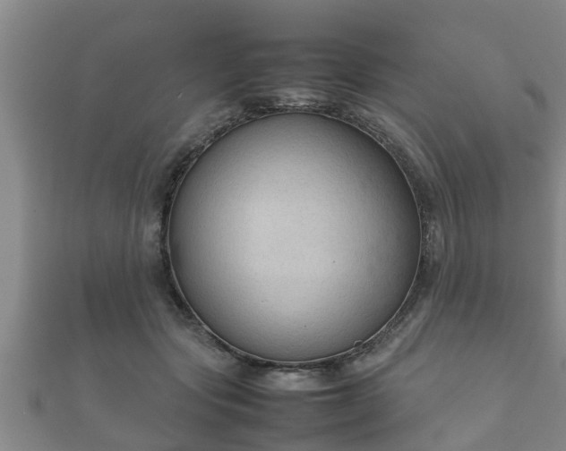 X0000112400557200908211118