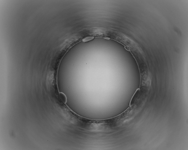X0000112400560200908211118