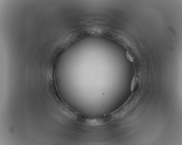 X0000112400561200908211118