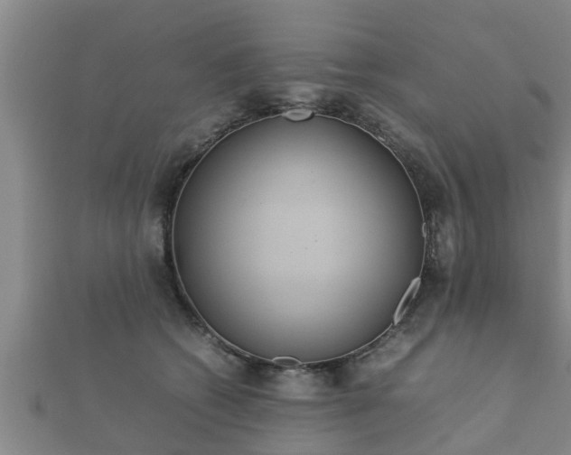 X0000112400562200908211118