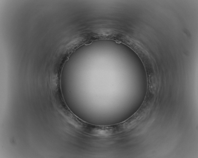 X0000112400563200908211118