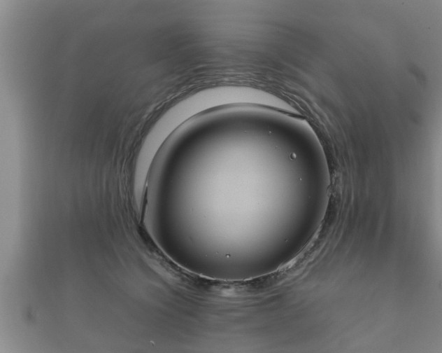 X0000112400564200908211118