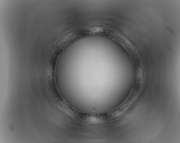 X0000112400565200908211118