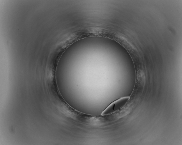 X0000112400566200908211118